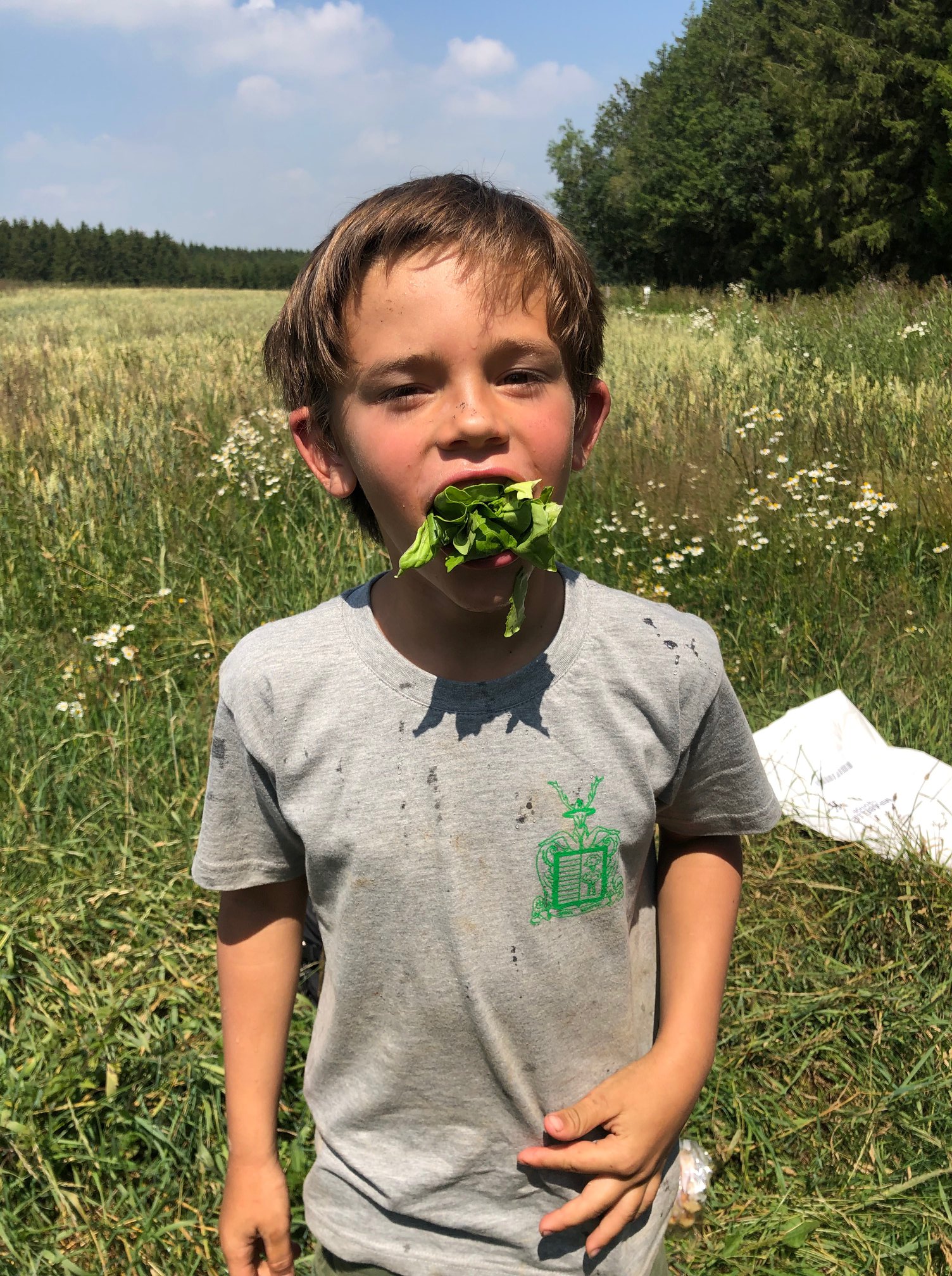 Sint-Martinus den XIIde - Kamp Losange KK